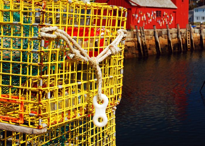 Yellow lobster traps stand on the water's edge near a red fishing shack in Rockport Massachusetts
